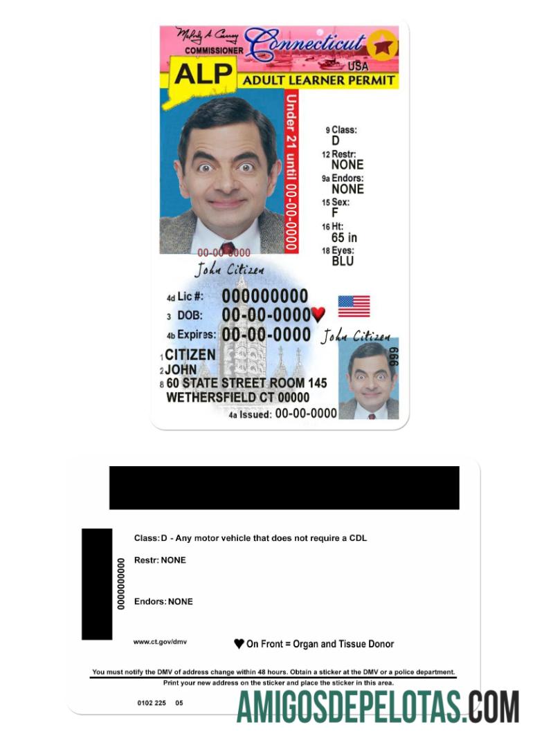 Carteira de motorista dos EUA em Connecticut para menores de 21 anos exemplo real